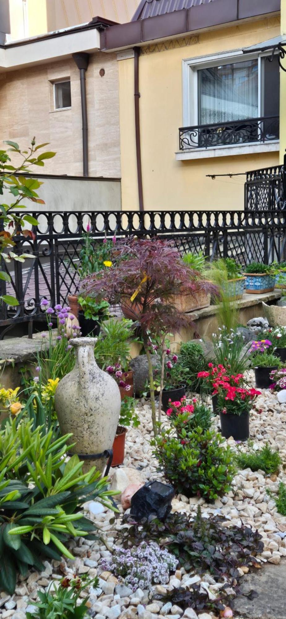 Luxury Private House In City Center Veliko Tarnovo Room photo